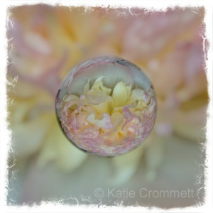 grit and pearl photoshop image flower water drop